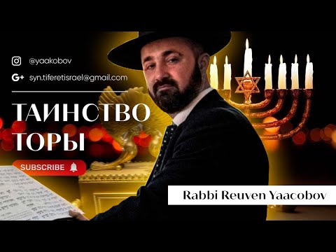 Видео: Недельная Глава Торы«Ки Тиса»5785 !