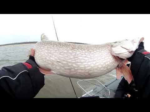 Видео: Инкино 08.11.2020 вторая серия СУДАКИ КОЧЕГАРЫ.