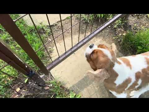 Видео: Всем Вам привет!!!