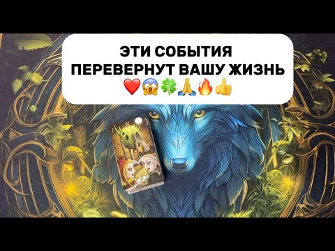 Видео: ЧУДЕСА НА ПОРОГЕ☀️❤️🍀🙏