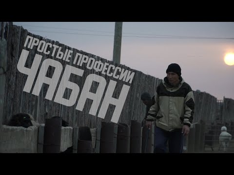 Видео: ПРОСТЫЕ ПРОФЕССИИ ЧАБАН 23 04 2022