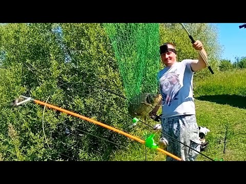 Видео: КРУПНЫЕ КАРАСИ И КАРПЫ УТАСКИВАЮТ И РВУТ СНАСТИ!