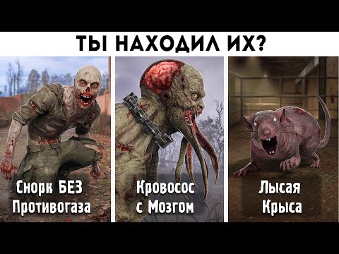 Видео: 40 ФАКТОВ - МОНСТРЫ из STALKER 2