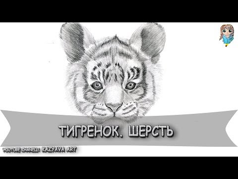 Видео: Как нарисовать маленького тигренка. Прорисовка шерсти. (28.02.2019)