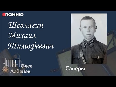 Видео: Шевлягин Михаил Тимофеевич. Проект "Я помню" Артема Драбкина. Саперы.