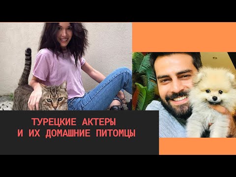 Видео: Турецкие актеры и их домашние питомцы: Фахрие Эвджен, Хазал Субаши,Эркан Мерич,Кадир Догулу и другие