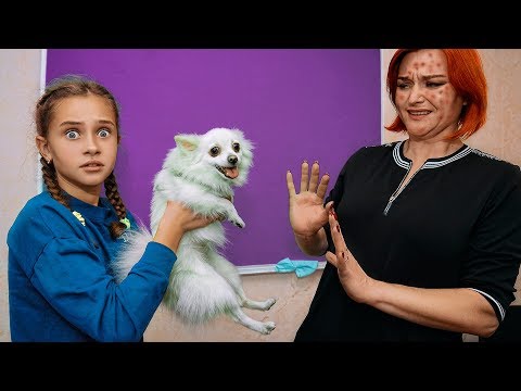 Видео: У НАШЕГО УЧИТЕЛЯ АЛЛЕРГИЯ НА ЖИВОТНЫХ!!!???