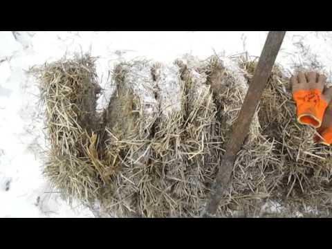 Видео: Червь "Старатель". 1000000 "Старателей" за зиму в подвале 4.