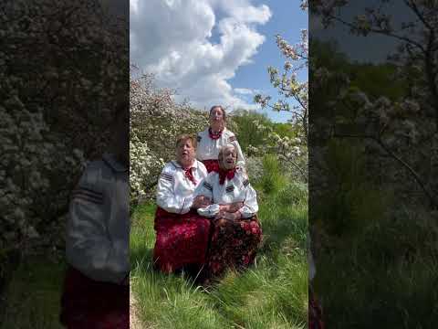 Видео: 14 червня 2025 р.