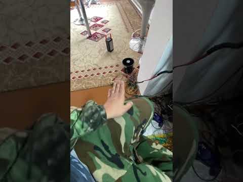 Видео: #дусяшым #элект