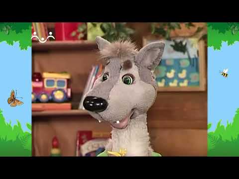 Видео: Утро в Шишкином Лесу. Советы. Как стать грибником