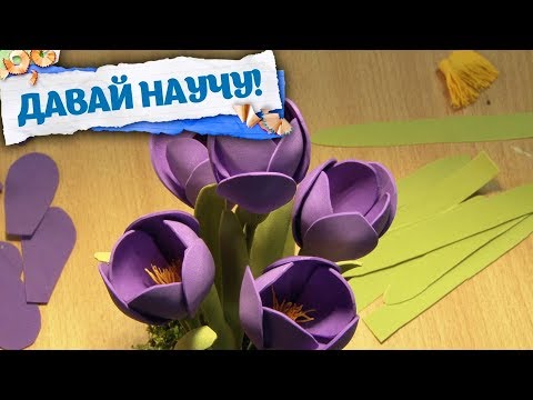 Видео: Давай научу цветы. Тюльпаны