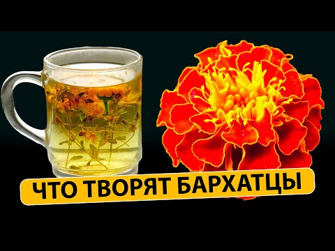 Видео: Что творят БАРХАТЦЫ с телом? 90% людей ДАЖЕ НЕ ЗНАЮТ о применении БАРХАТЦЕВ