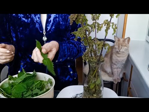 Видео: Болезни суставов Не жжет, а согревает, снимет воспалительный процесс- проверенное средство. 