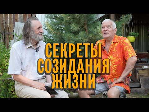 Видео: Секреты созидания жизни