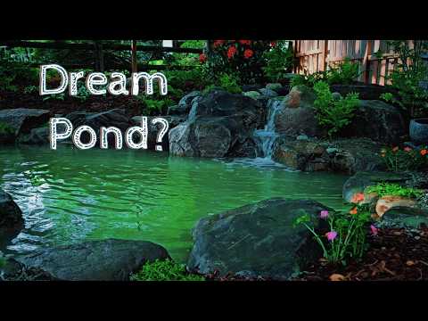 Видео: От травы до пруда мечты за 4 дня!