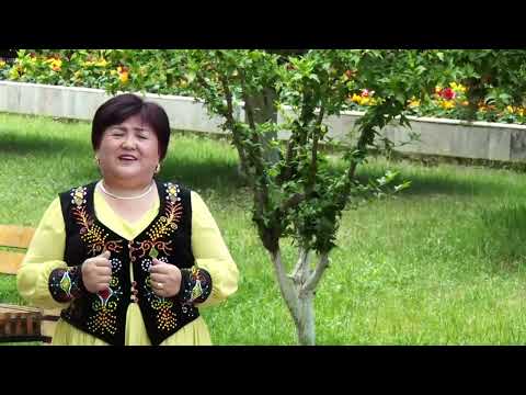 Видео: Эргешова Токтокүл “Жалжалым”