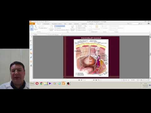 Видео: Кузьменко А.В. Топография передней брюшной стенки. Грыжи передней брюшной стенки