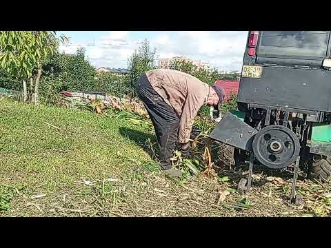Видео: Зачистка поля під оранку.