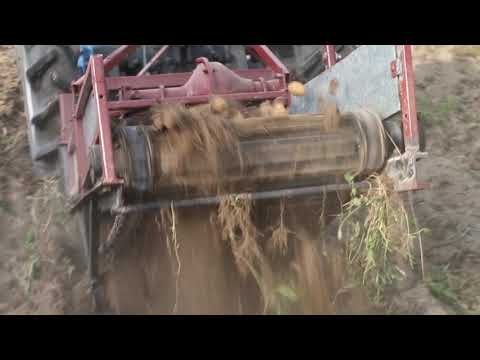 Видео: САМОДЕЛЬНАЯ КАРТОФЕЛЕКОПАЛКА ОДНОРЯДНАЯ ИЗ ПОДРУЧНЫХ СРЕДСТВ