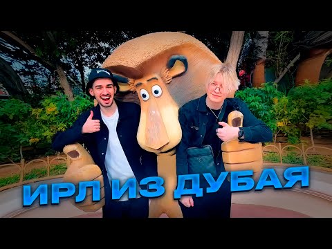 Видео: ДРЕЙК, СТИНТ, НЕЛЯ И АРТУР ГУЛЯЮТ ПО ПАРКУ В ДУБАЕ // ИРЛ ИЗ ДУБАЯ #1