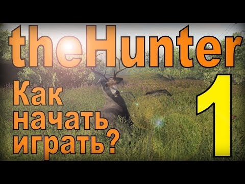 Видео: the Hunter - Как начать играть. #1