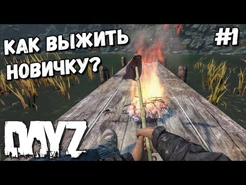 Видео: КАК ВЫЖИТЬ НОВИЧКУ В DAYZ В 2020? #1 КАК ДОБЫТЬ ЕДУ И ВОДУ