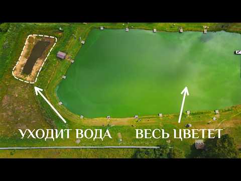 Видео: Спасаем сразу два пруда! Как очистить водоём, чтобы этого избежать.
