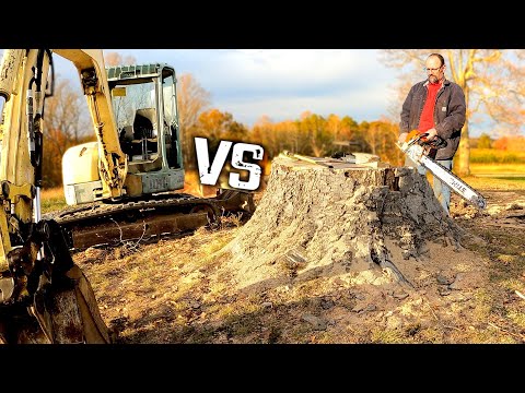 Видео: Мини-экскаватор против огромного пня. Возможно ли это?