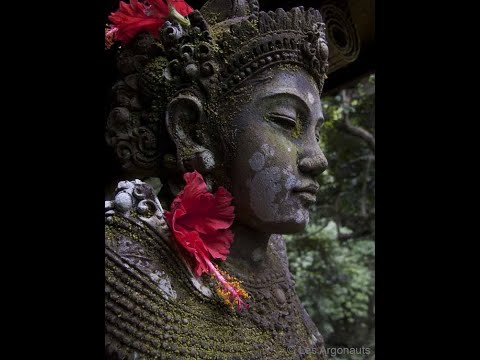 Видео: "Сатипаттхана Випассана. Эксперимент в осознанности" Э. Шетток - ЧАСТЬ 2