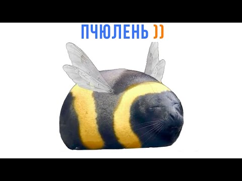 Видео: ПЧЮЛЕНЬ ))) Приколы | Мемозг 1662