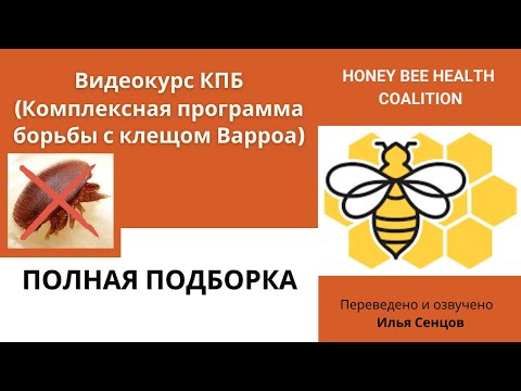 Видео: Комплексный план борьбы с клещом Варроа. Полный видеокурс (США)
