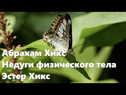 Видео: Абрахам Хикс – Недуги физического тела – Эстер Хикс