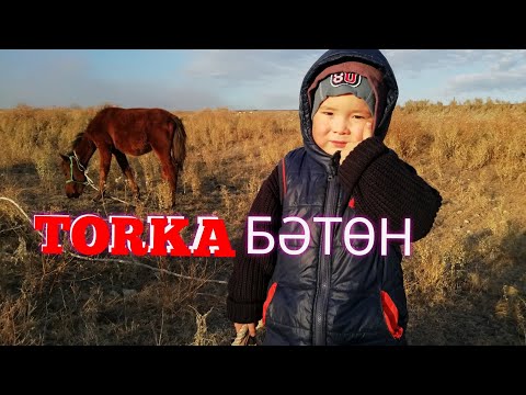 Видео: Құлынды жайуға шығардық, салат жеді |ДАБ БРО|