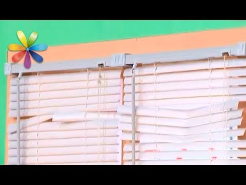 Видео: Какие бывают жалюзи и как выбрать качественные? Советы эксперта (повтор)