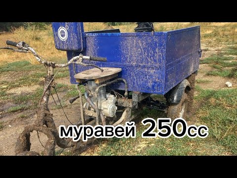 Видео: МОТОРОЛЛЕР МУРАВЕЙ по ГРЯЗИ