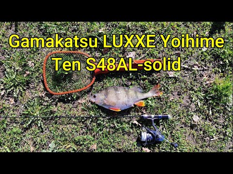 Видео: #508 #мормышинг | LUXXE Yoihime Ten S48AL solid | Плотва + БОНУС |