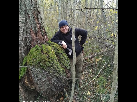 Видео: Что такое КАП и СУВЕЛЬ, чем они отличаются.