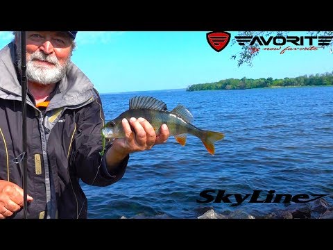 Видео: Favorite SkyLine SKYA-862ML. Лайтовый хорошист