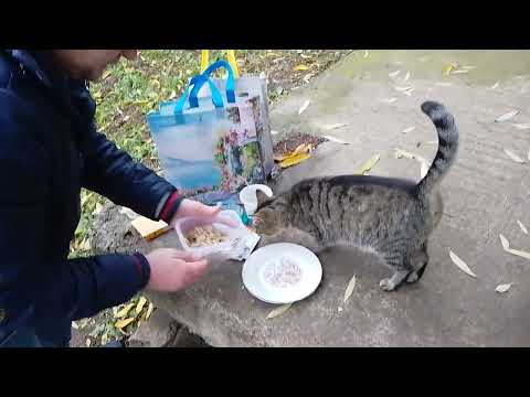 Видео: Она Танцевала От Удовольствия! 🔥