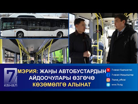 Видео: МЭРИЯ: ЖАҢЫ АВТОБУСТАРДЫН АЙДООЧУЛАРЫ ӨЗГӨЧӨ КӨЗӨМӨЛГӨ АЛЫНАТ