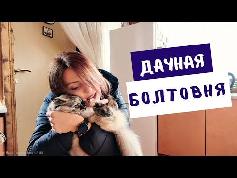 Видео: ВЛОГ: Дачная болтовня 