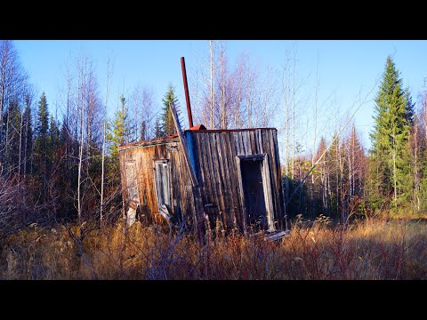 Видео: Поход на реку Ниедзью. Часть 3. Старая лесная изба - балок. Таёжный быт. Один в глухой тайге