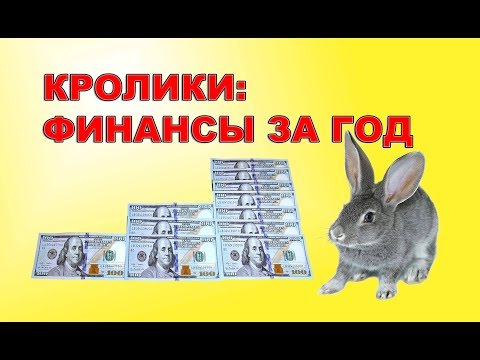 Видео: КРОЛИКОВОДСТВО: ФИНАНСОВЫЙ РЕЗУЛЬТАТ ЗА ГОД