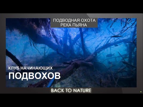 Видео: Подводная охота, река Пьяна. Первый выезд клуба начинающих подводных охотников.