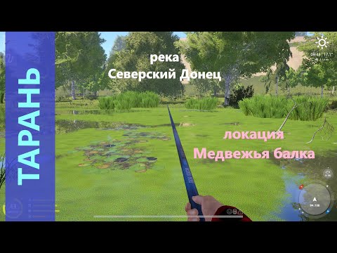 Видео: Русская рыбалка 4 - река Северский Донец - Тарань в далеком заливчике