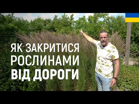 Видео: ЛАНДШАФТНИЙ ДИЗАЙН | ЯК ЗАКРИТИСЯ РОСЛИНАМИ ВІД ДОРОГИ