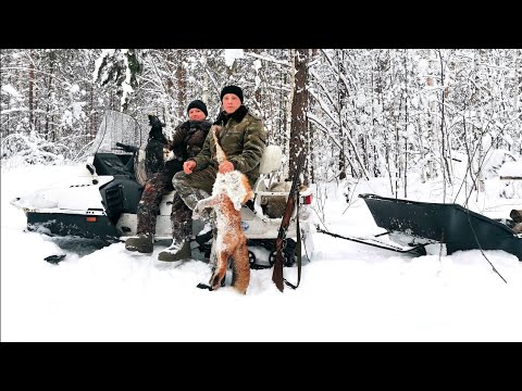 Видео: СИБИРЬ.ТАЙГА.ПРОМЫСЛОВЫЕ БУДНИ