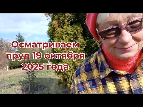 Видео: Осматриваем мой пруд 19 октября 2025 года. Готовы ли к зиме караси и нимфеи?