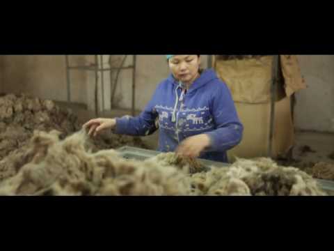 Видео: Түүхий эдийн бэлтгэл бүтээгдэхүүний чанарт нөлөөлөх нь